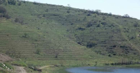 Baraj Havzaları Yeşillendi