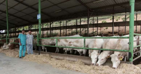 Yenişehir 'de damızlık tesisi