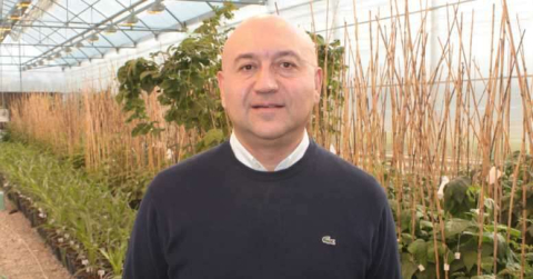 MAY Tohum’dan Türkiye’nin En Tatlı Mısır Çeşitleri