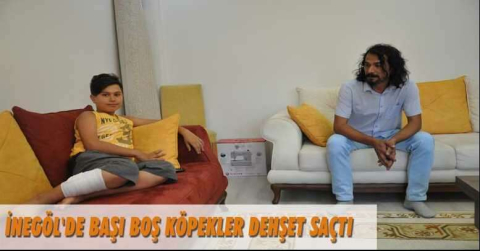 Başı boş köpekler dehşet saçtı