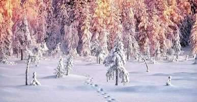 Uludağ’ın büyüleyen manzaraları dağcılar tarafından görüntülendi