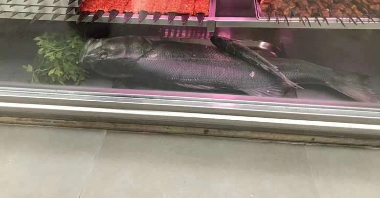 Kıyıdan oltayla 90 santimetrelik levrek yakaladı