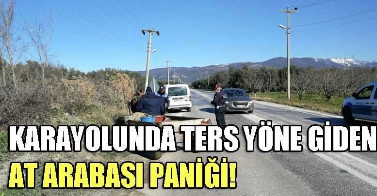 Karayolunda ters yönde giden at arabası paniği