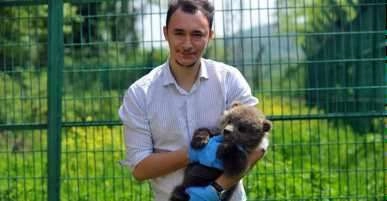 Milli Park Müdürlüğü ekipleri bir yılda 173 hayvanı tabiata saldılar 