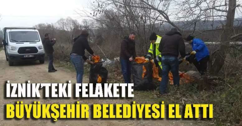 İznik'teki felakete büyükşehir belediyesi el attı.