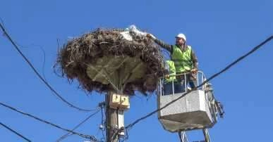  Eskikaraağaç leylek köyü bahara hazır 
