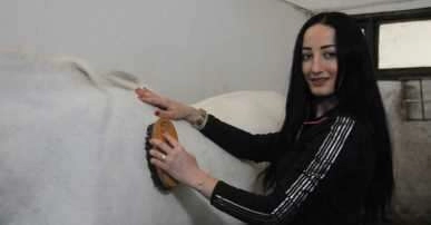 Ojeli tırnakları ile atların bakımlarını yapıyorlar