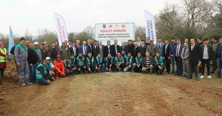 İmralı'ya 42 bin, Bursa'ya 30 bin adalet fidanı... 