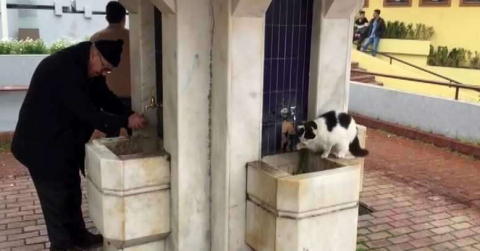 Cami şadırvanından patileriyle su içen kedi görenlerin ilgi odağı oldu