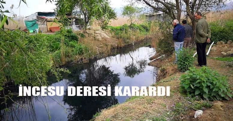 İznik’te çevre felaketi yaşanıyor