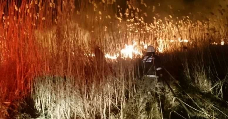 İznik’te sazlık yangını