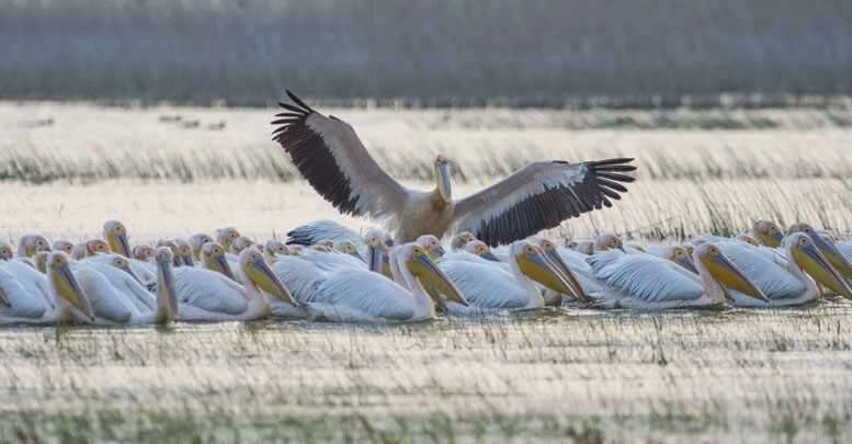 Bahar geldi..Tabiattaki görsel şöleni kaçırmayın