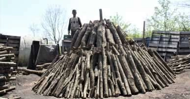 Odunları yakarak tonunu 4 bin 500 liraya satıyorlar