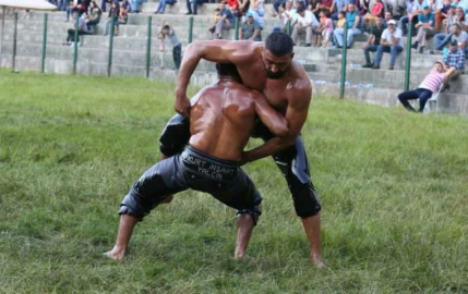 Nilüfer'de Çalı Güreşleri