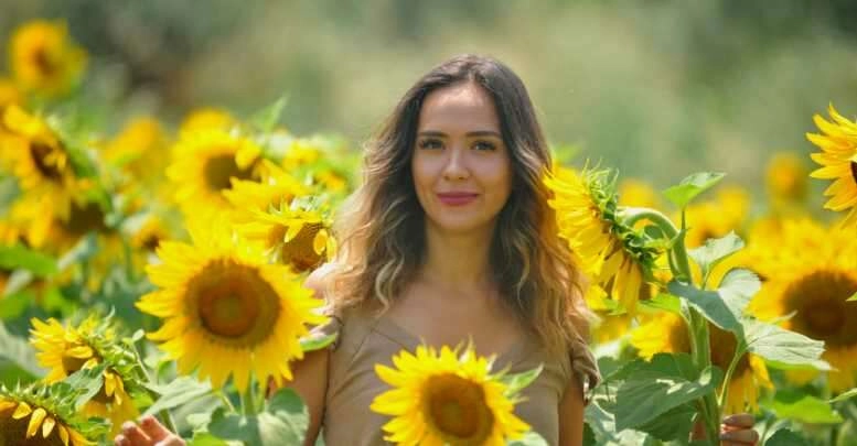 Konsept ayçiçeği tarlaları