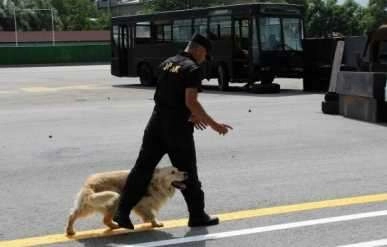 Jandarma Özel Asayiş TİM'leri İHA'ya kapılarını açtı