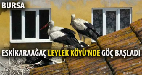 Eskikaraağaç Leylek Köyü'nde göç başladı 