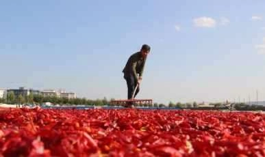 Urfalıların 'acı' ile imtihanı başladı