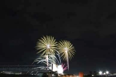 Tokyo'da havai fişek festivalinden renkli görüntüler