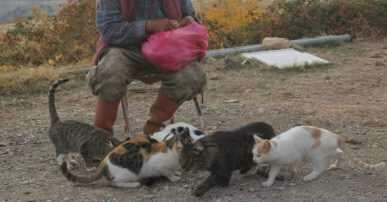 Yerli "Robinson Crusoe" Ziya Dede, adasında kışa hazırlanıyor