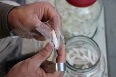 Bu sakız bir ay çiğnenebiliyor! Fiyatı altınla yarışıyor