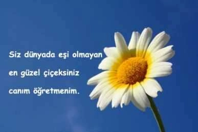 24 Kasım Öğretmenler günü mesajları resimli