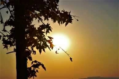 Diyarbakır'da sonbahar güzellikleri