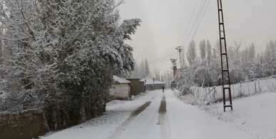 Van'da kar yağışı çevreyi beyaza bürüdü