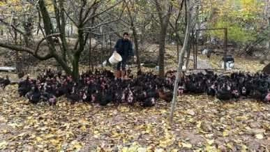 İş bulamayınca kendi işini kurdu! 