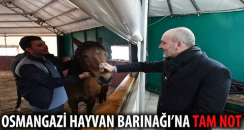 Osmangazi Hayvan Barınağı'na tam not