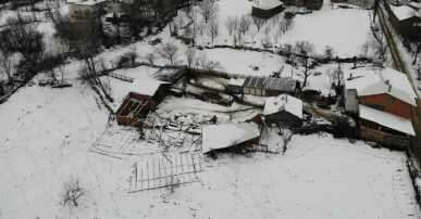 Ahırın çatısı kara dayanamadı, 50’ye yakın koyun telef oldu
