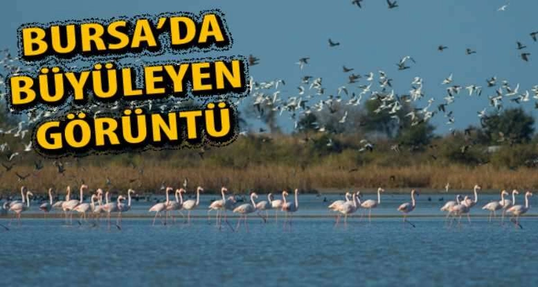 Venedik'ten Bursa'ya