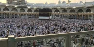 HAC KURA SONUÇLARI SORGULAMA TC İLE| DİYANET 2020 HAC KURA SONUÇLARI HAC GOV TR