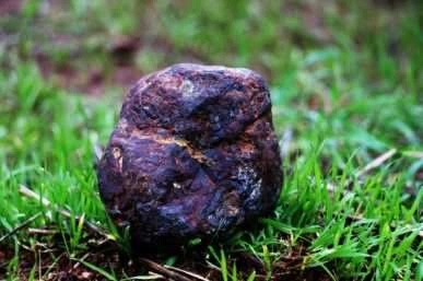 Odun toplarken buldu