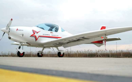 Türk Kartalı Aquila yuvaya döndü