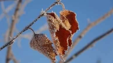 Termometreler eksi 38'i gördü