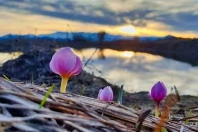 Gümüşhane dağlarında görsel şölen başladı