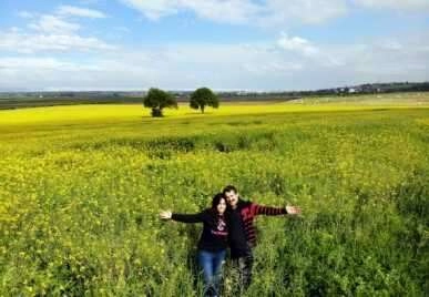 Kanola bahçesinden kartpostallık görüntüler