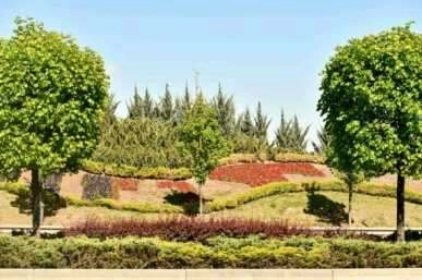 Başkent çiçeklerle güzelleşiyor