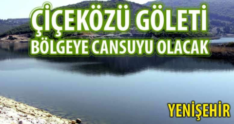 Çiçeközü Göleti Bölgeye Cansuyu Olacak