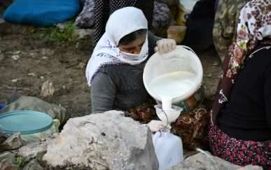 Şırnak'ta berivanların zorlu mesaisi başladı