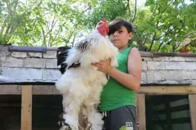 Normallerinin 3 katı!