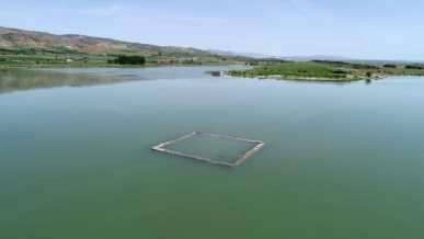 30 yıl aradan sonra ilk kez görüntülenmişti