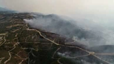 Yanarak kül olan yüzlerce hektar kızılçam ormanı havadan böyle görüntülendi