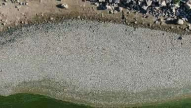 Bursa'da çevre felaketi büyüdü