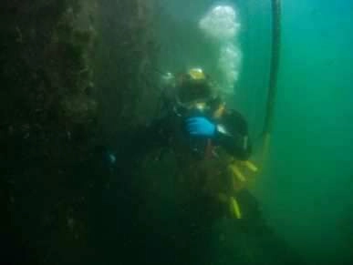 Su altının görünmeyen işçileri