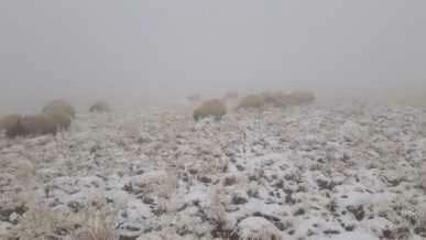 Başkale'de yılın ilk karı yağdı