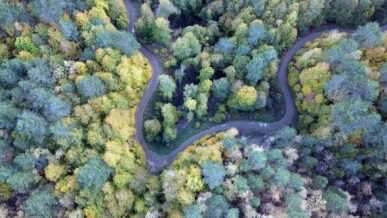 Yenice ormanlarında sonbahar güzelliği