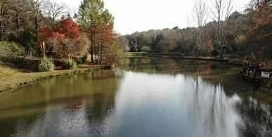 Atatürk Arboretumu'nda sonbahar manzarası