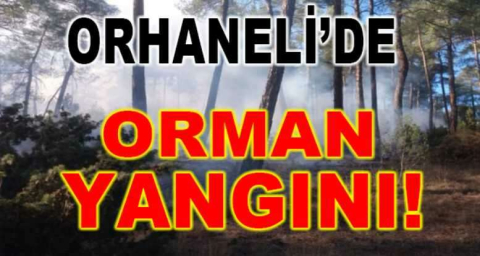 Bursa Orhaneli'de ormanlık alanda yangın çıktı!
